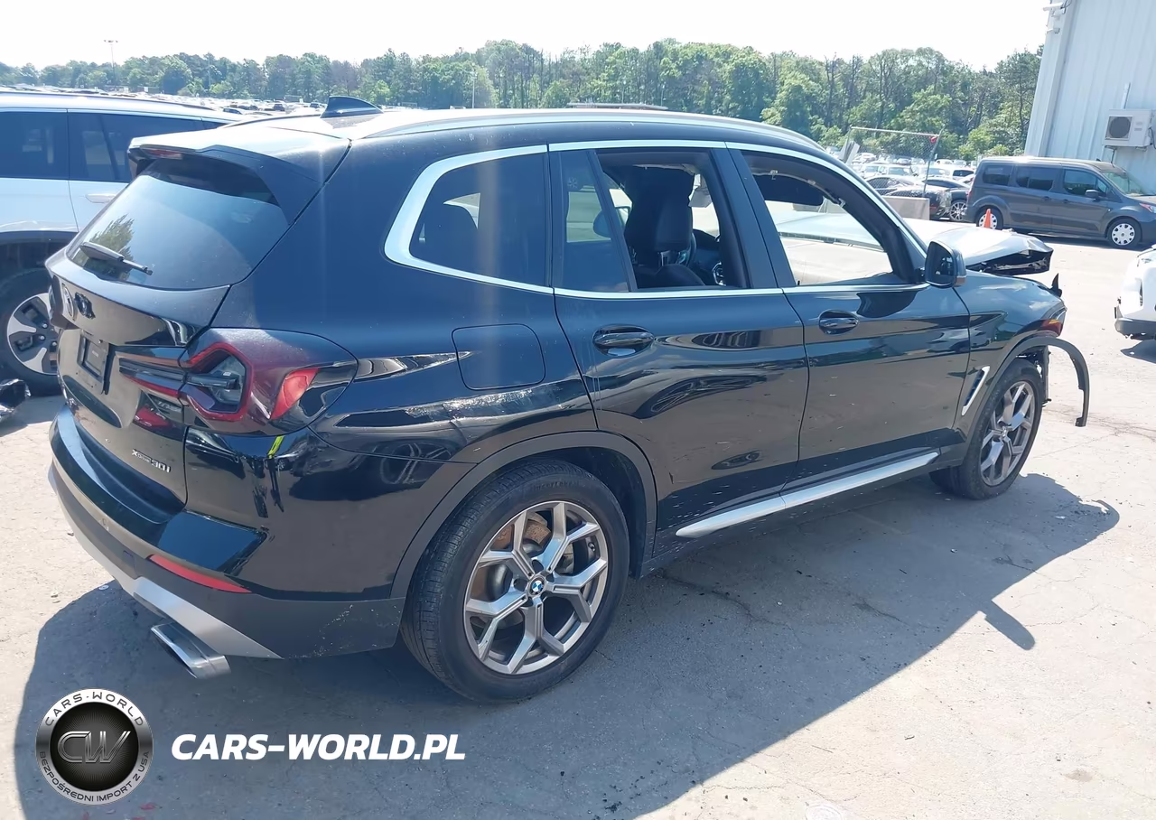 2023 BMW X3 xDrive30I VIN:5UX53DP06P9R44013 - 4