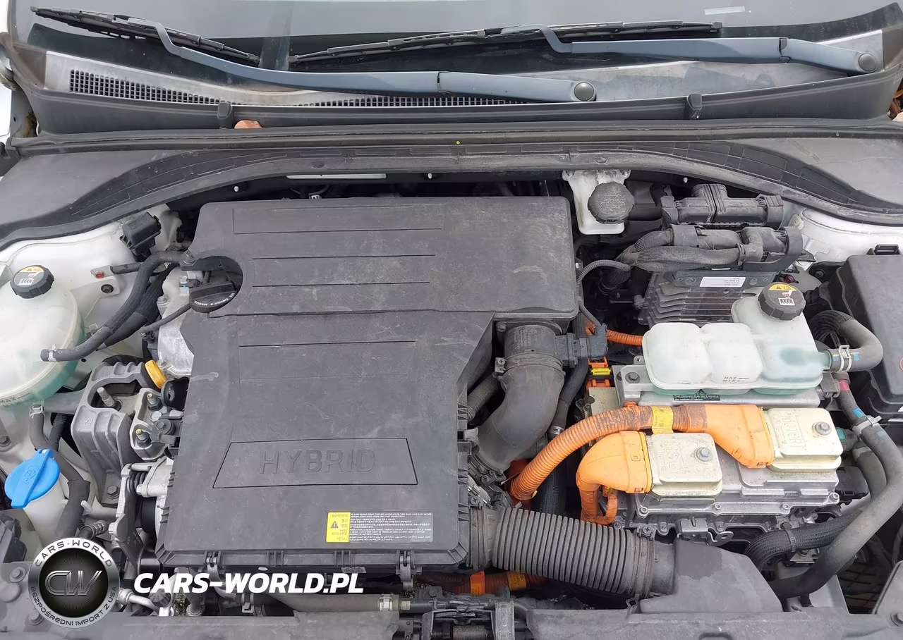 2019 Hyundai Ioniq Hybrid Blue VIN:KMHC65LC8KU158446 - 10