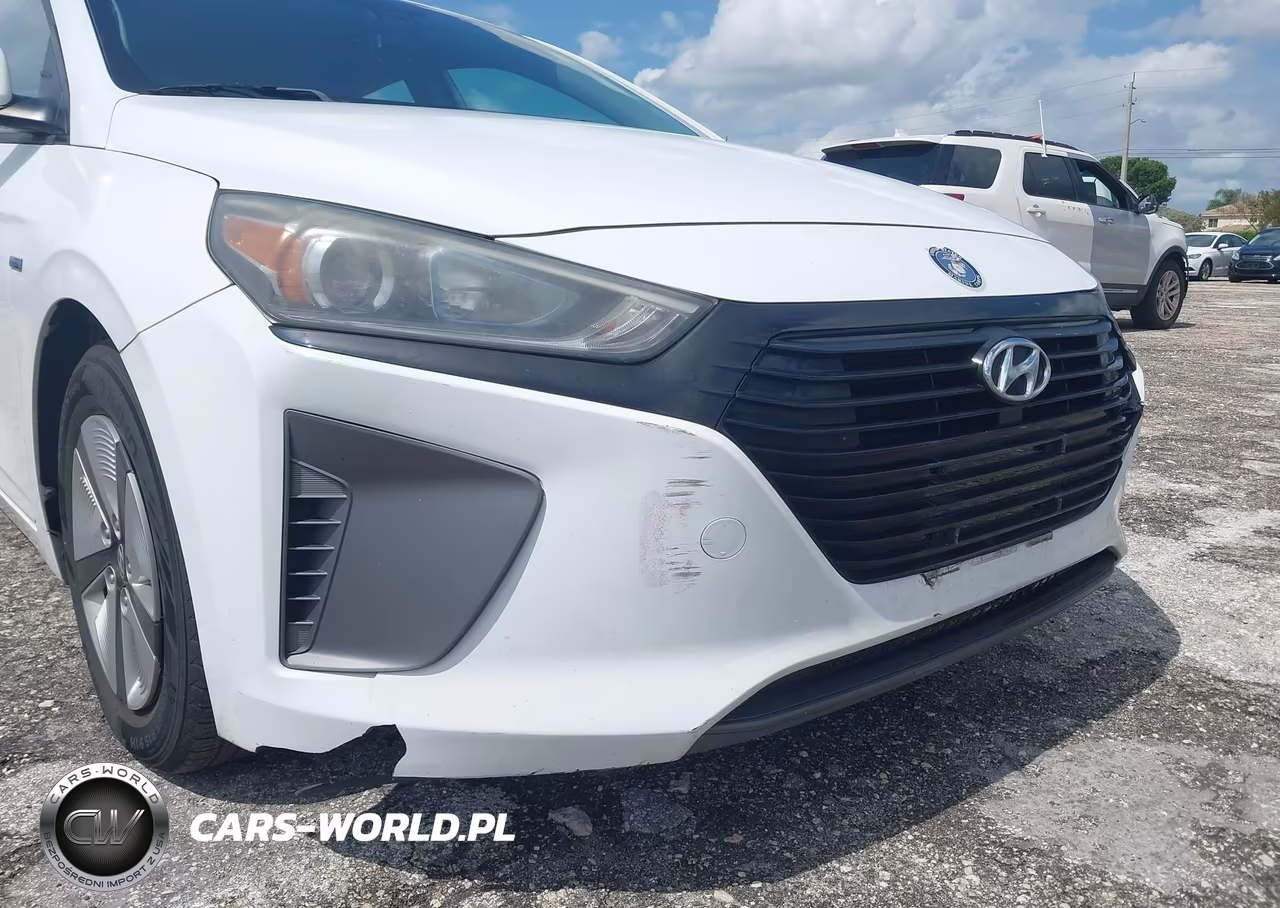 2019 Hyundai Ioniq Hybrid Blue VIN:KMHC65LC8KU158446 - 12