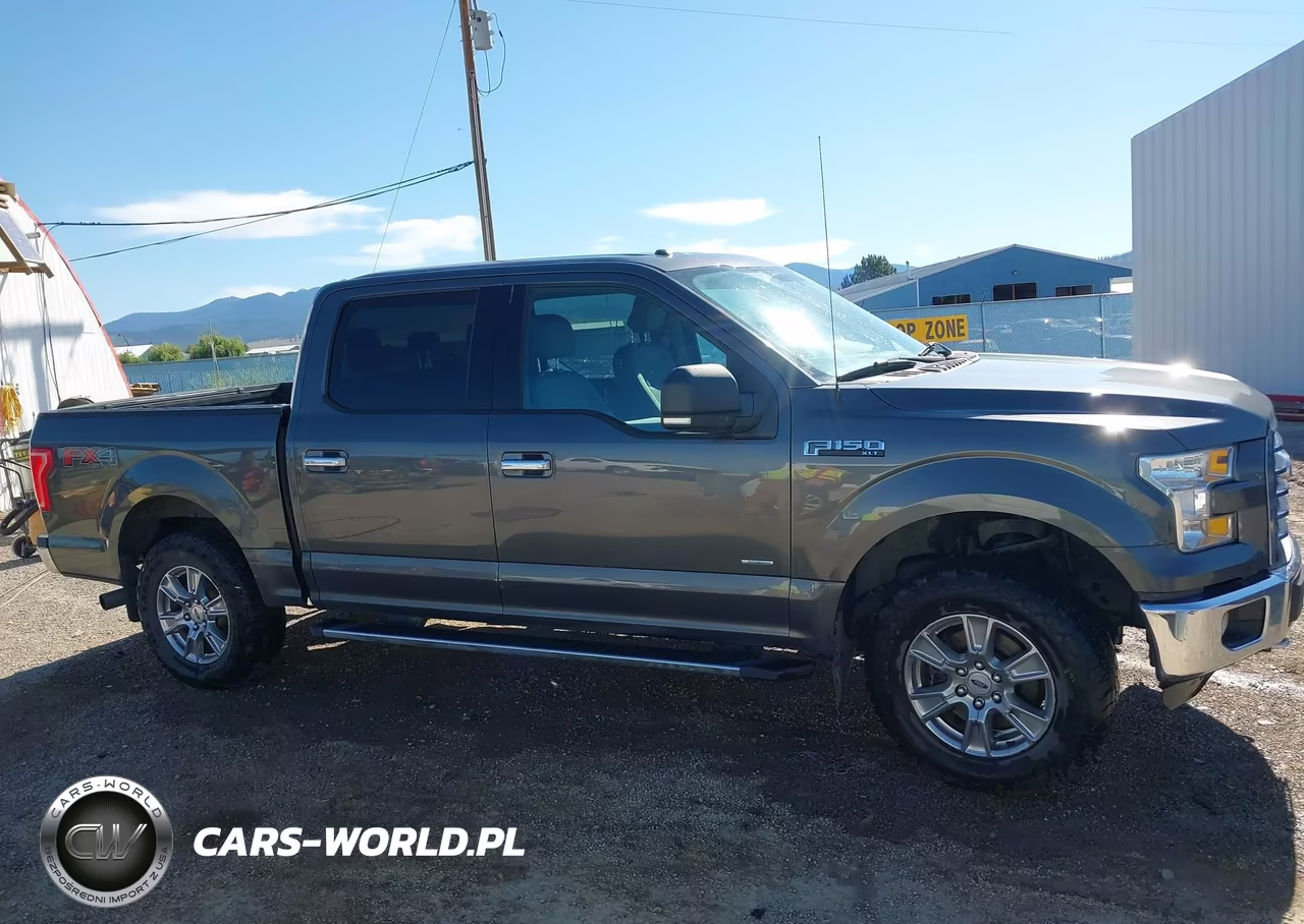 2015 Ford F-150 King Ranch-Lariat-Platinum-Xl-Xlt VIN:1FTEW1EGXFFA58090 - 14