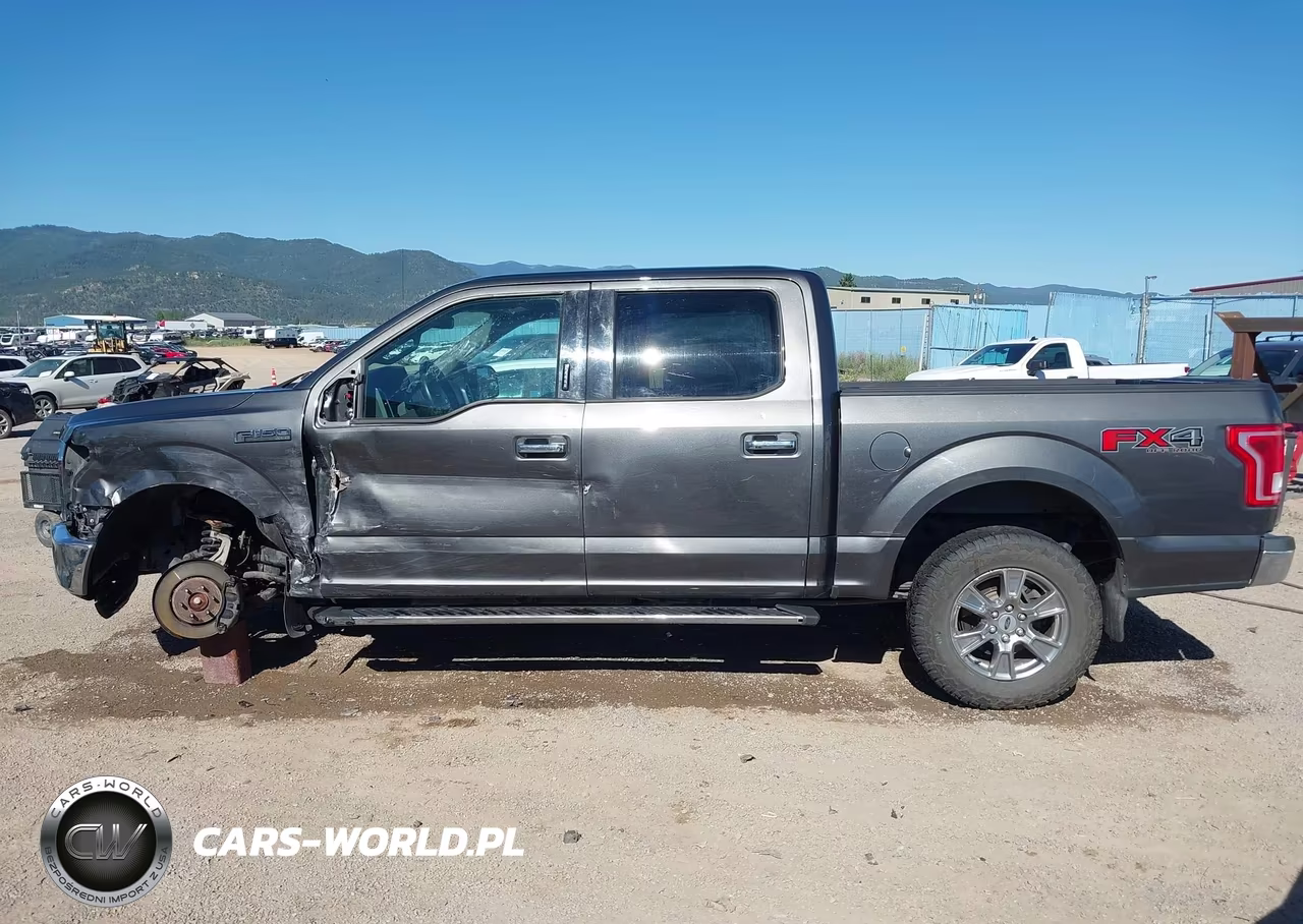 2015 Ford F-150 King Ranch-Lariat-Platinum-Xl-Xlt VIN:1FTEW1EGXFFA58090 - 15