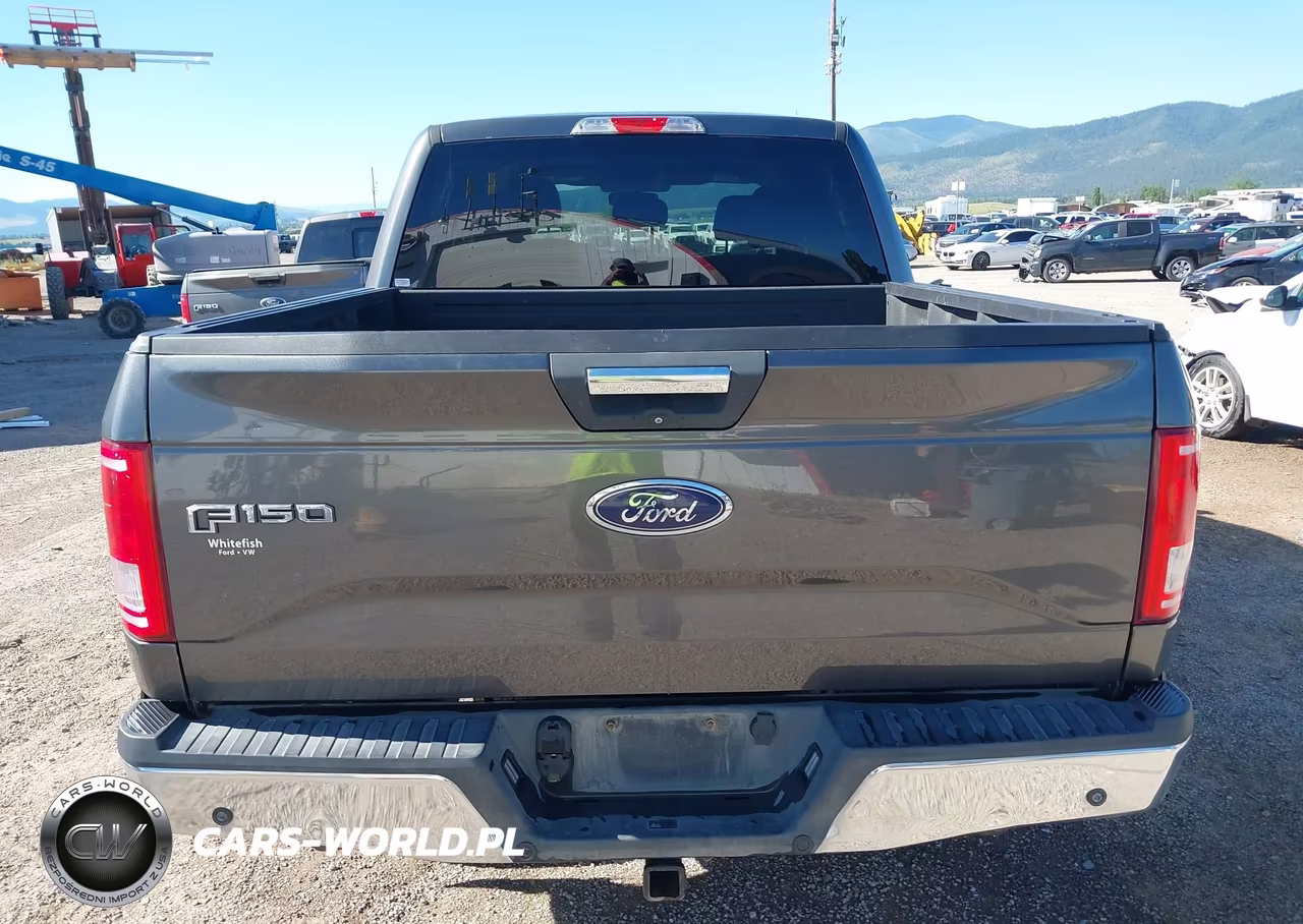 2015 Ford F-150 King Ranch-Lariat-Platinum-Xl-Xlt VIN:1FTEW1EGXFFA58090 - 17