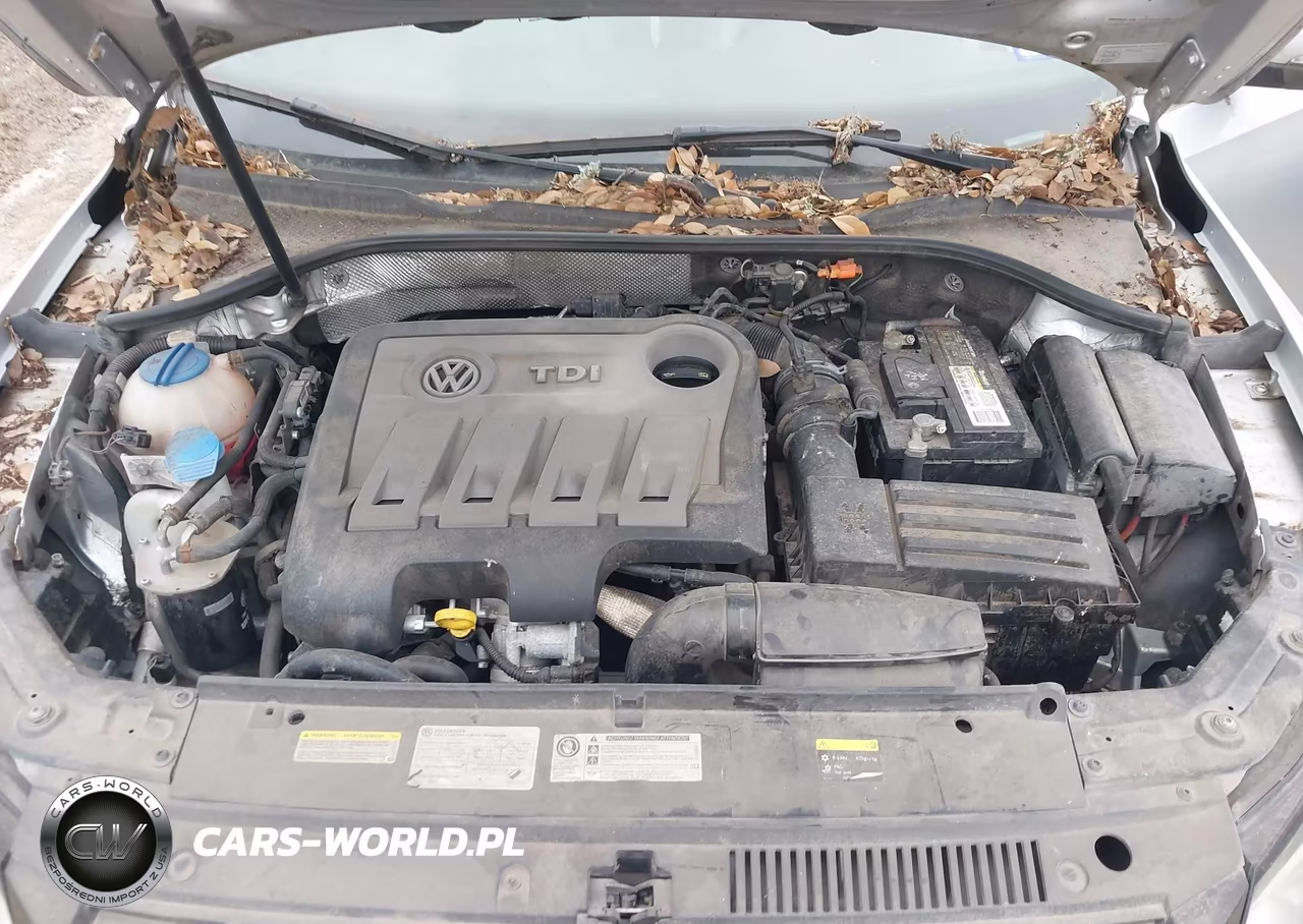 2014 Volkswagen Passat 2.0L Tdi Sel Premium VIN:1VWCN7A33EC109460 - 10