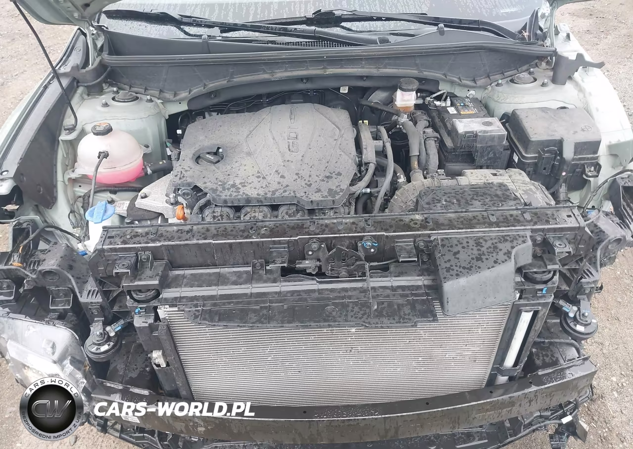 2023 Hyundai Santa Cruz Sel VIN:5NTJCDAE1PH056587 - 10