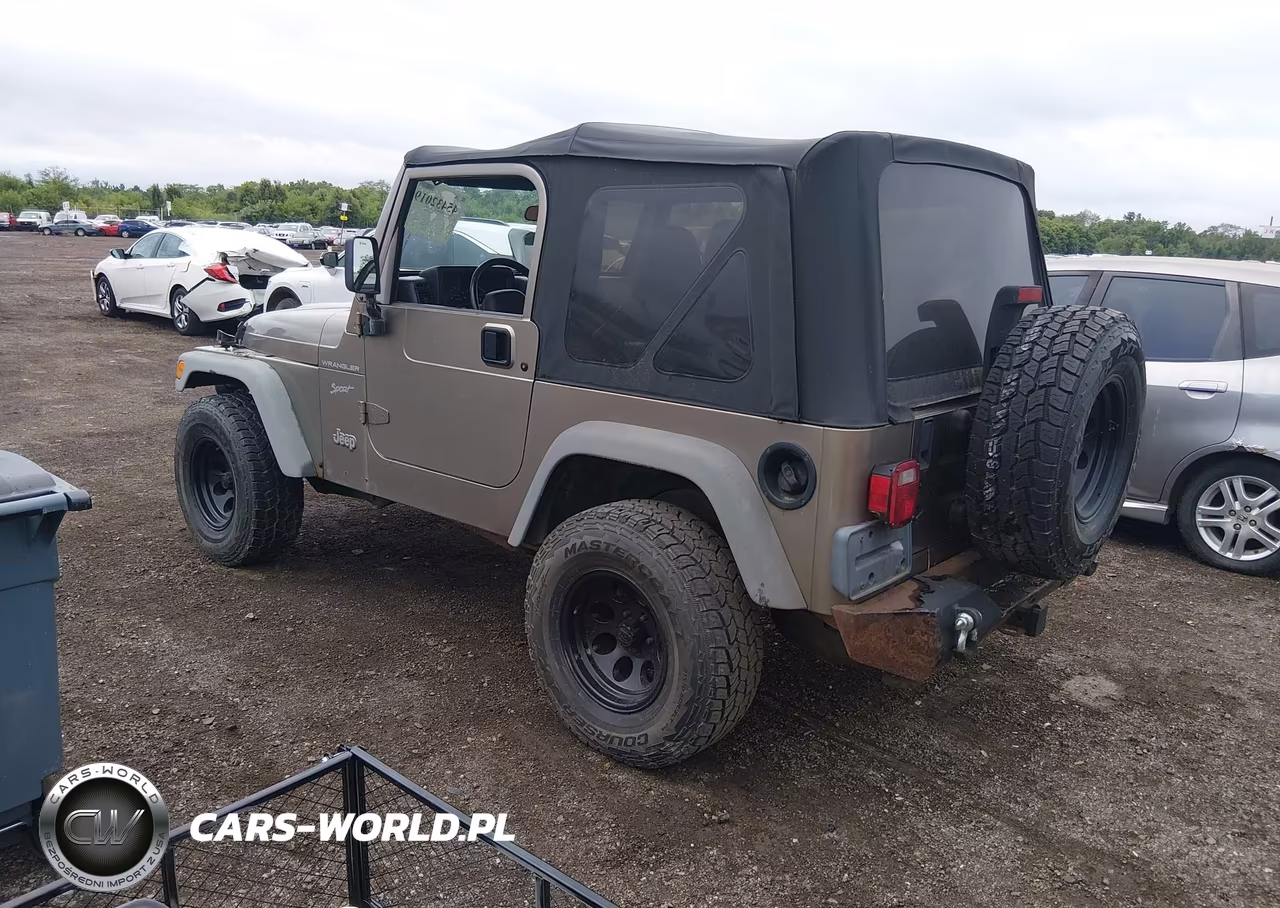 2002 Jeep Wrangler Sport VIN:1J4FA49S52P767396 - 3