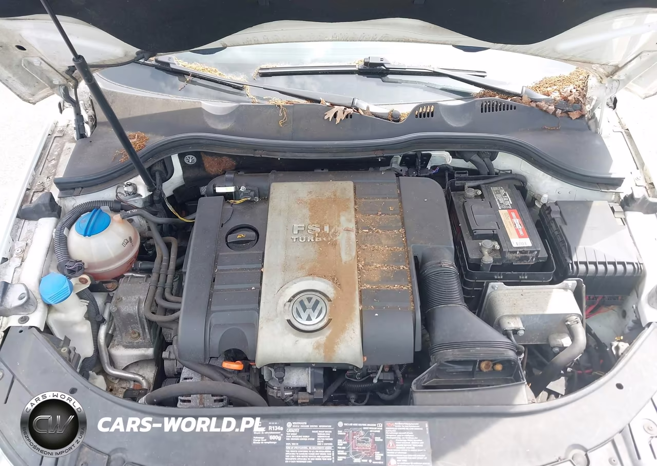 2007 Volkswagen Passat 2.0T VIN:WVWLK93C07E007495 - 10