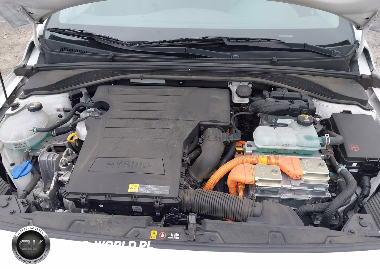 2019 Hyundai Ioniq Hybrid Blue VIN:KMHC65LC0KU107989 - 10