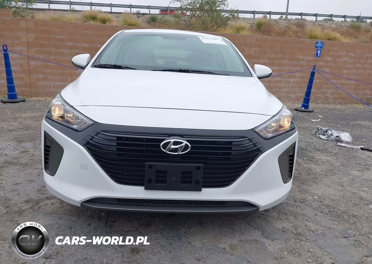 2019 Hyundai Ioniq Hybrid Blue VIN:KMHC65LC0KU107989 - 13