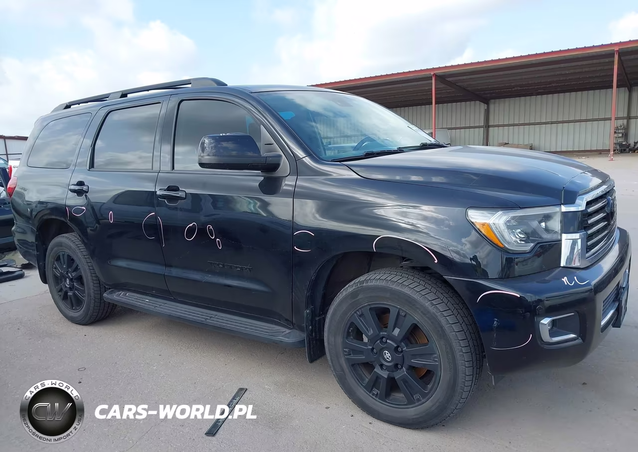 2020 Toyota Sequoia Trd Sport VIN:5TDZY5G17LS074982 - 14