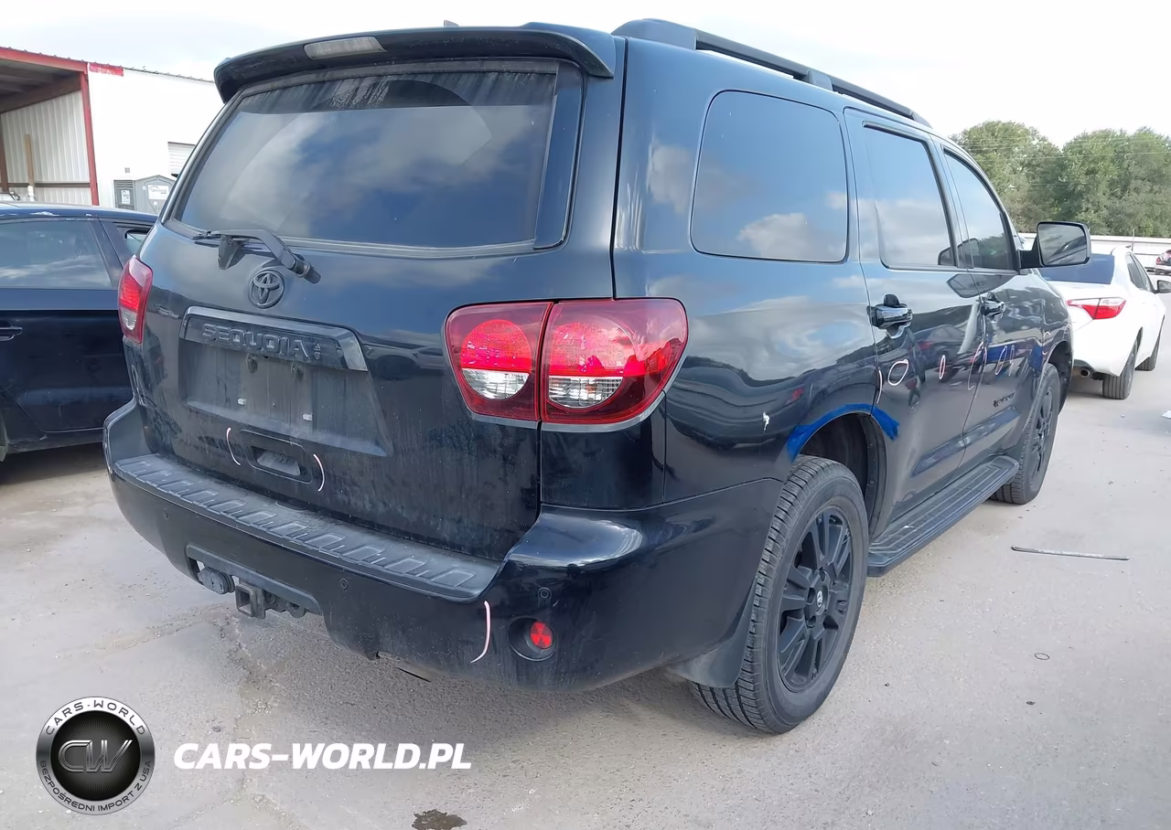 2020 Toyota Sequoia Trd Sport VIN:5TDZY5G17LS074982 - 4