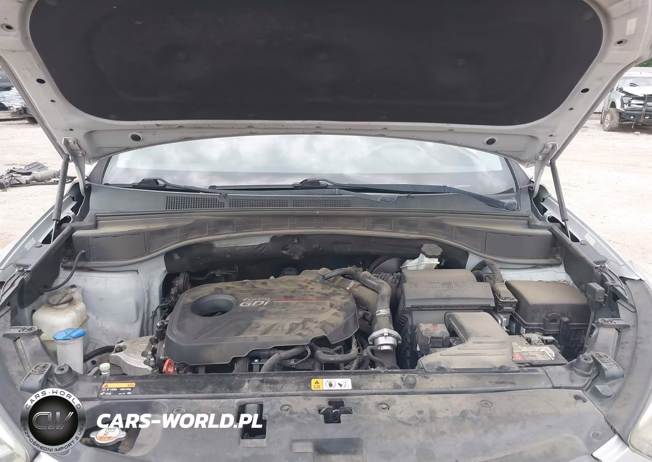 2017 Hyundai Santa Fe Sport 2.0T Ultimate VIN:5XYZW4LA5HG447026 - 10