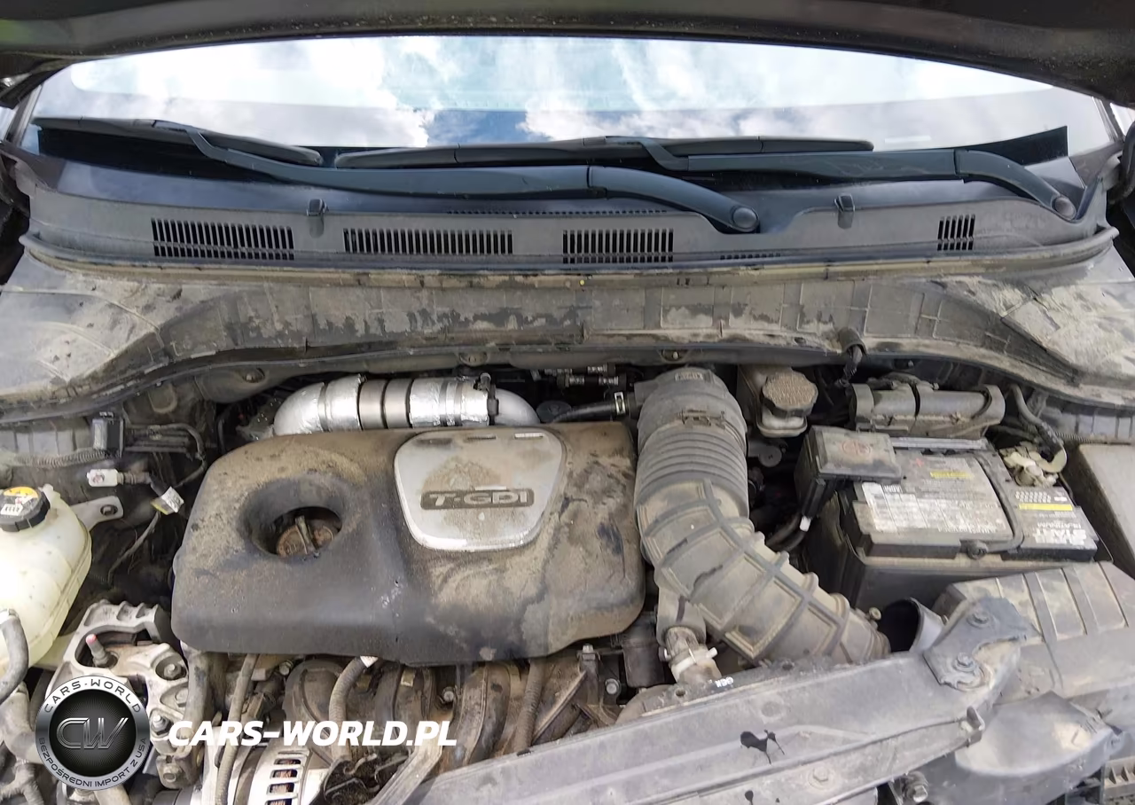 2019 Hyundai Kona Limited VIN:KM8K33A51KU344438 - 10