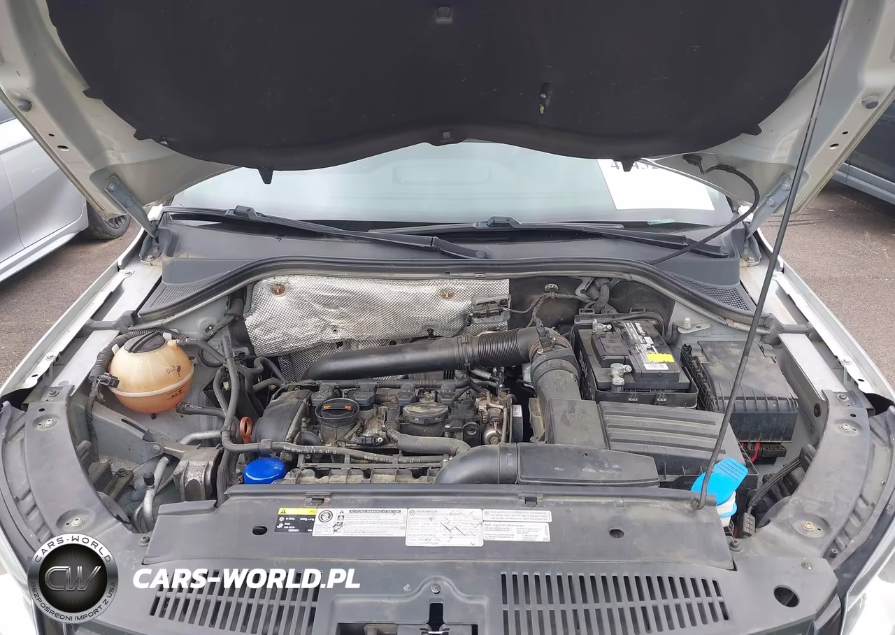 2013 Volkswagen Tiguan S VIN:WVGBV3AX5DW581839 - 10