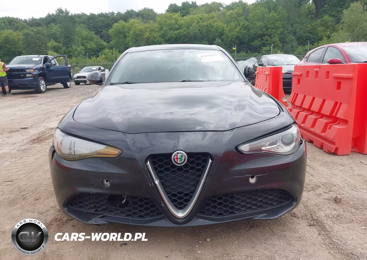 2017 Alfa Romeo Giulia Rwd VIN:ZARFAEBN6H7546128 - 12