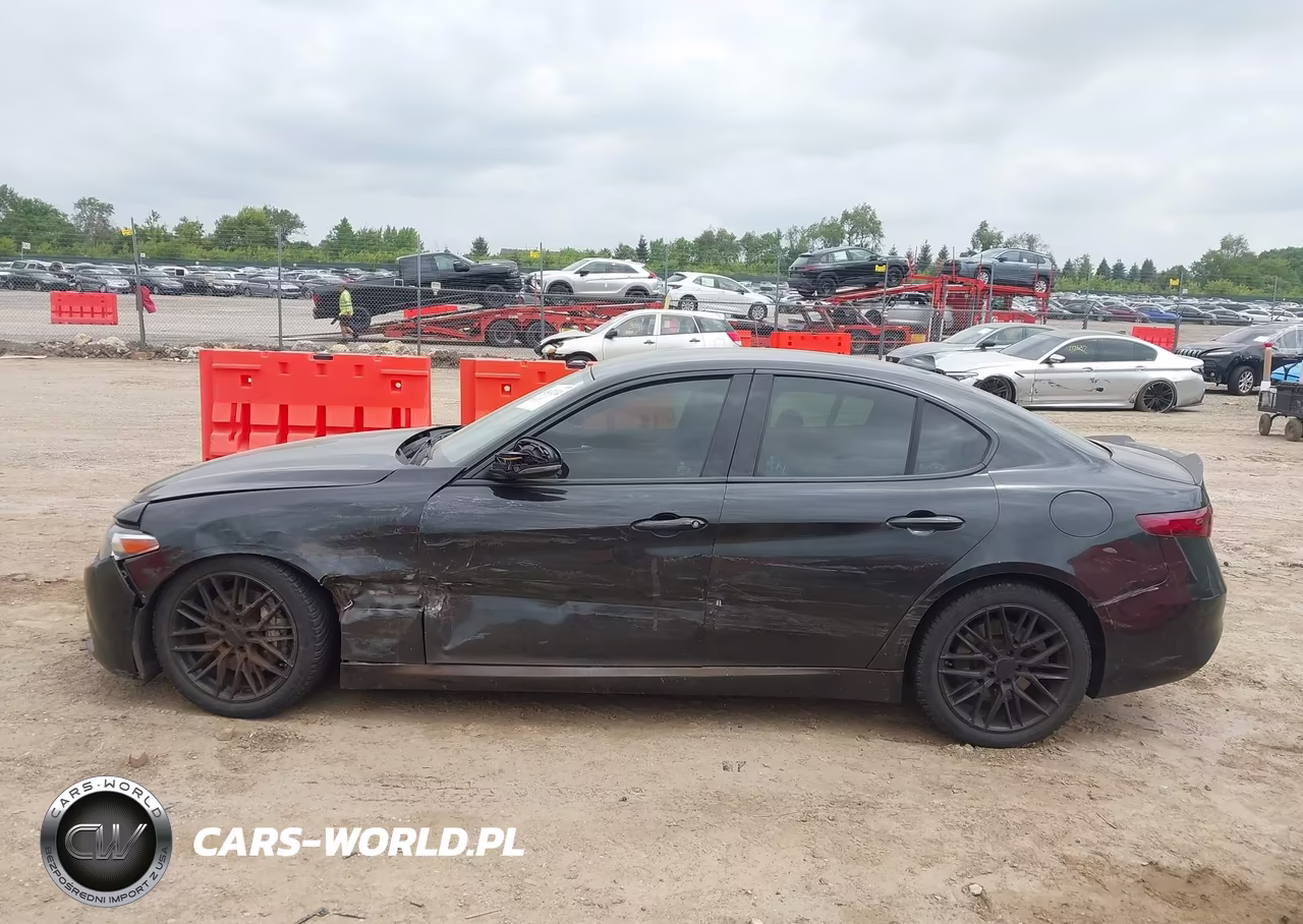 2017 Alfa Romeo Giulia Rwd VIN:ZARFAEBN6H7546128 - 14