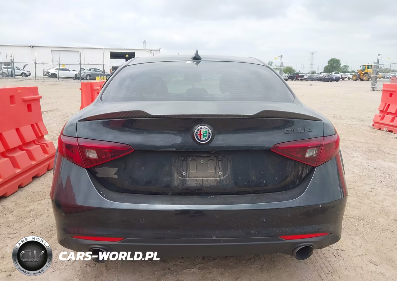2017 Alfa Romeo Giulia Rwd VIN:ZARFAEBN6H7546128 - 16