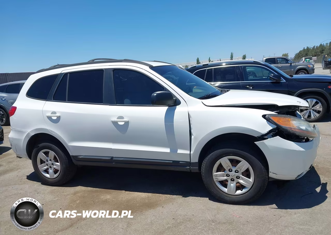 2009 Hyundai Santa Fe Gls VIN:5NMSG13D59H292234 - 13