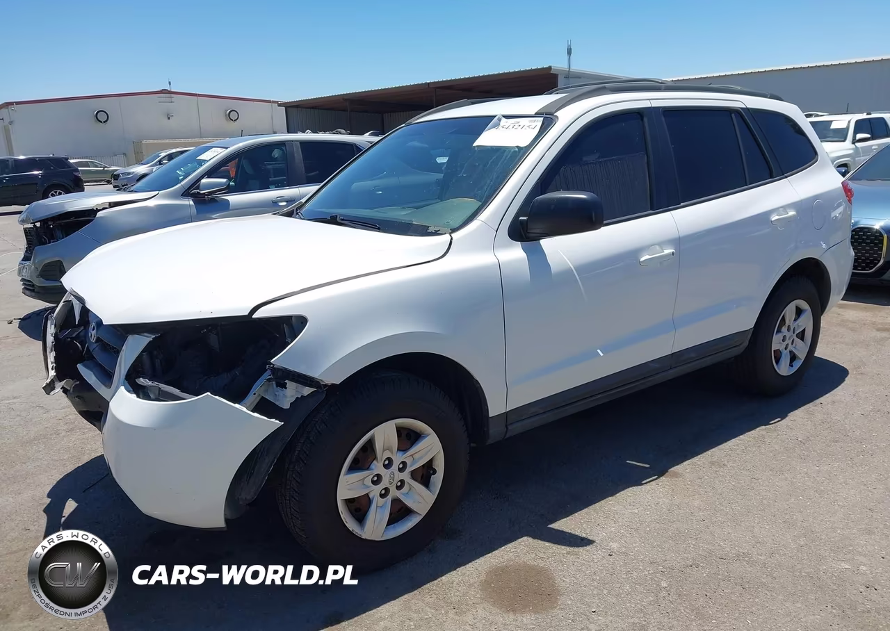 2009 Hyundai Santa Fe Gls VIN:5NMSG13D59H292234 - 2