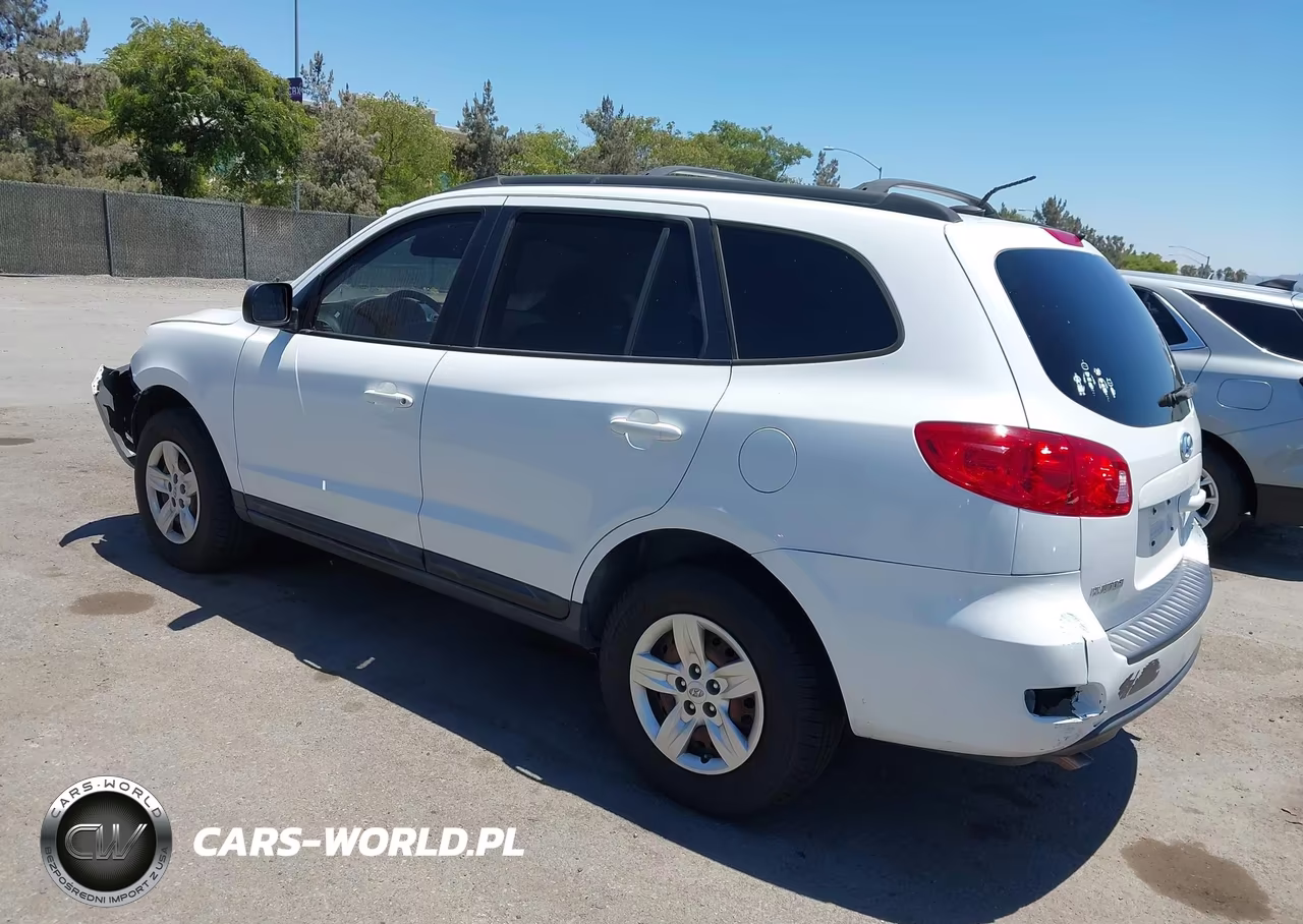 2009 Hyundai Santa Fe Gls VIN:5NMSG13D59H292234 - 3