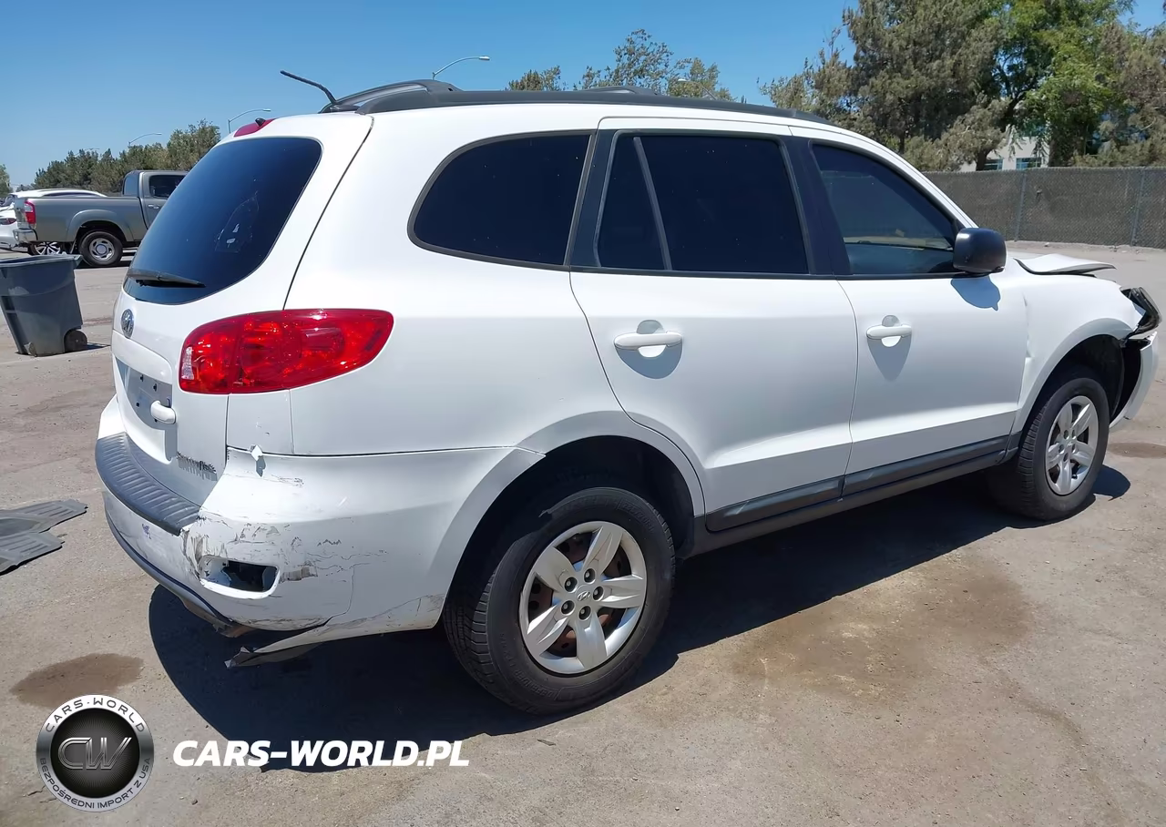 2009 Hyundai Santa Fe Gls VIN:5NMSG13D59H292234 - 4