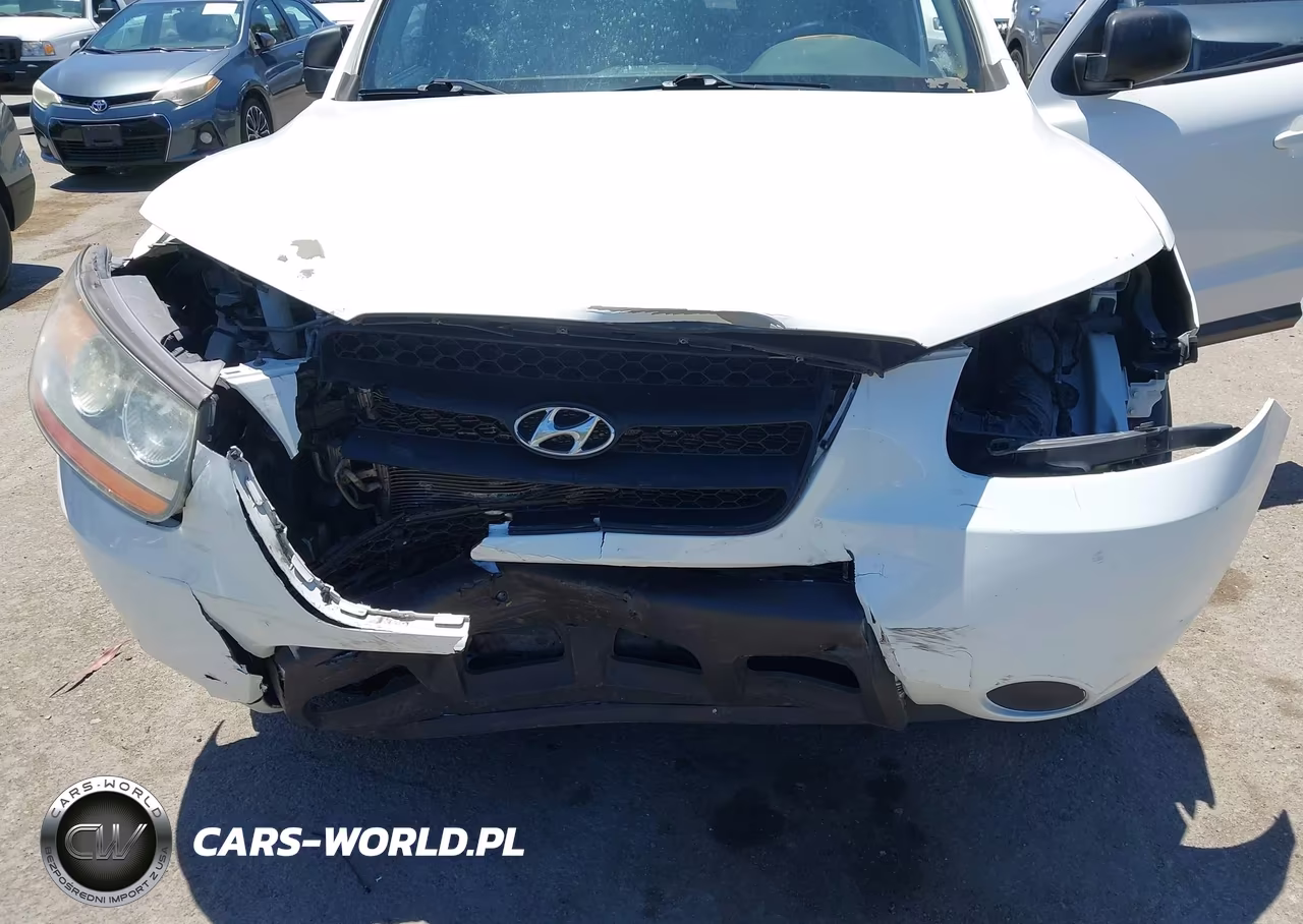 2009 Hyundai Santa Fe Gls VIN:5NMSG13D59H292234 - 6