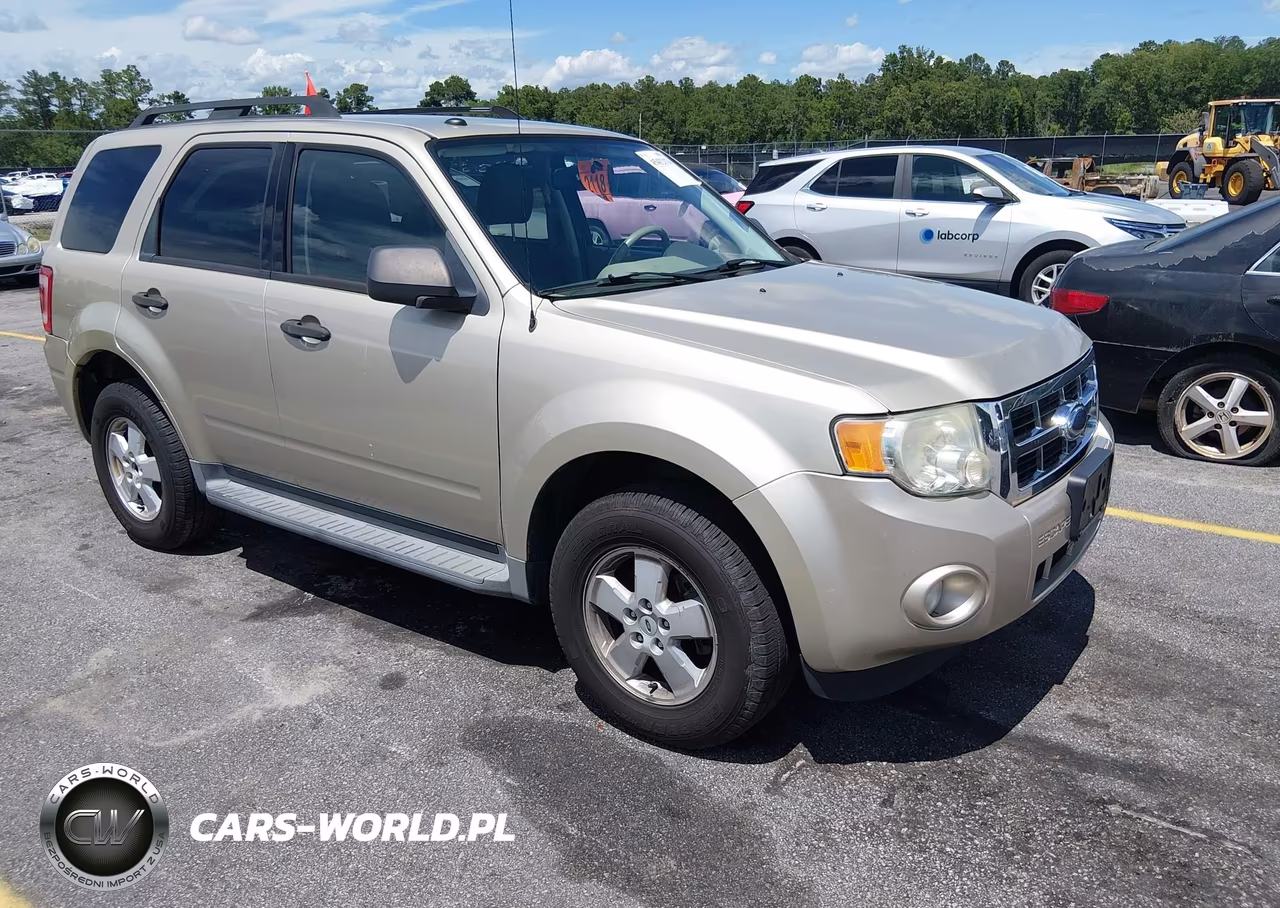 2010 Ford Escape Xlt