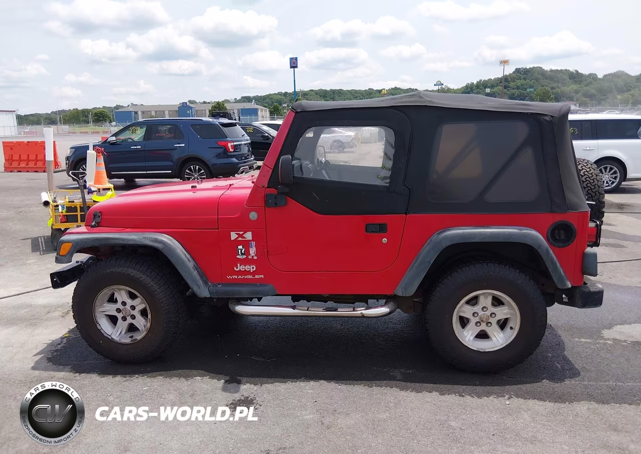 2004 Jeep Wrangler X VIN:1J4FA39S54P742544 - 14