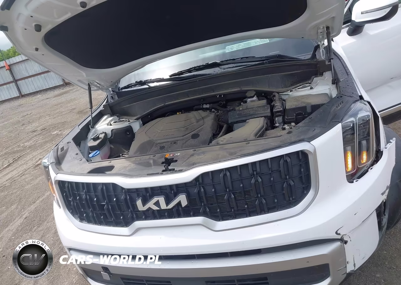 2024 Kia Telluride Ex VIN:5XYP3DGC8RG482141 - 10