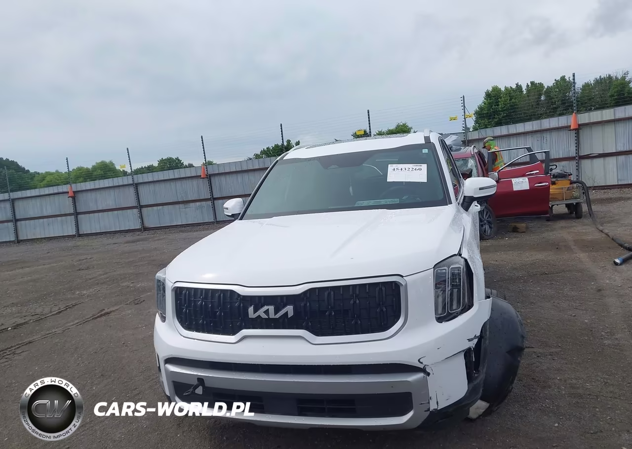 2024 Kia Telluride Ex VIN:5XYP3DGC8RG482141 - 12