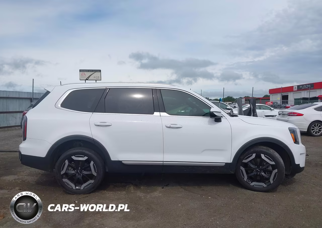 2024 Kia Telluride Ex VIN:5XYP3DGC8RG482141 - 13