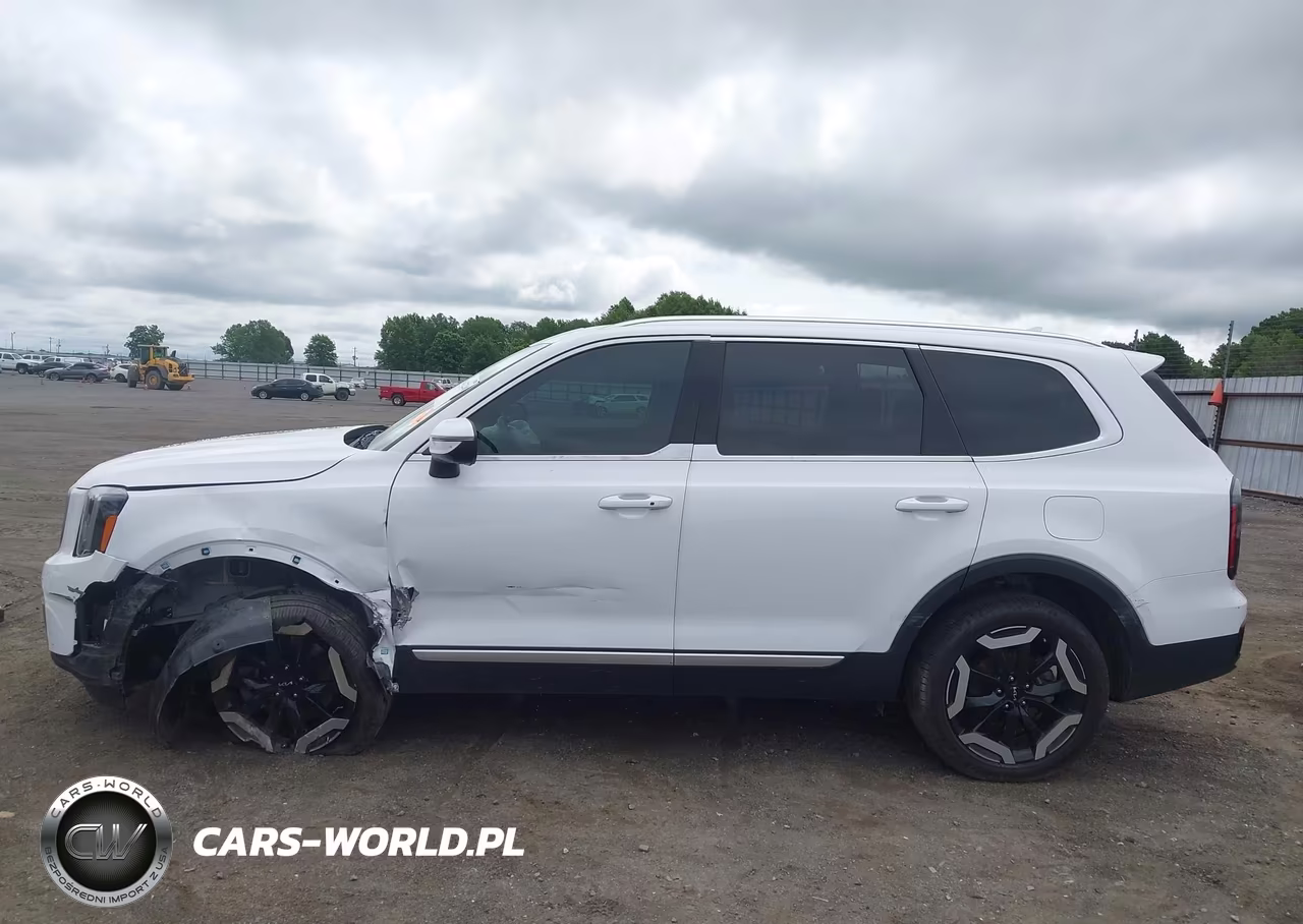 2024 Kia Telluride Ex VIN:5XYP3DGC8RG482141 - 14