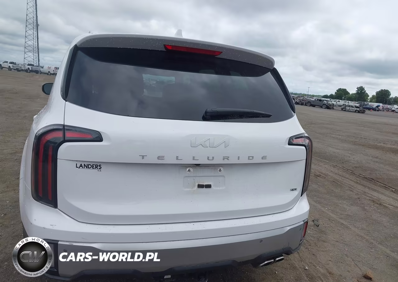 2024 Kia Telluride Ex VIN:5XYP3DGC8RG482141 - 16