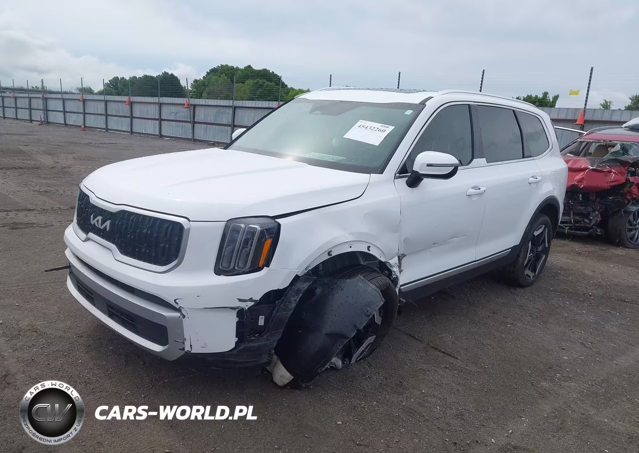 2024 Kia Telluride Ex VIN:5XYP3DGC8RG482141 - 2