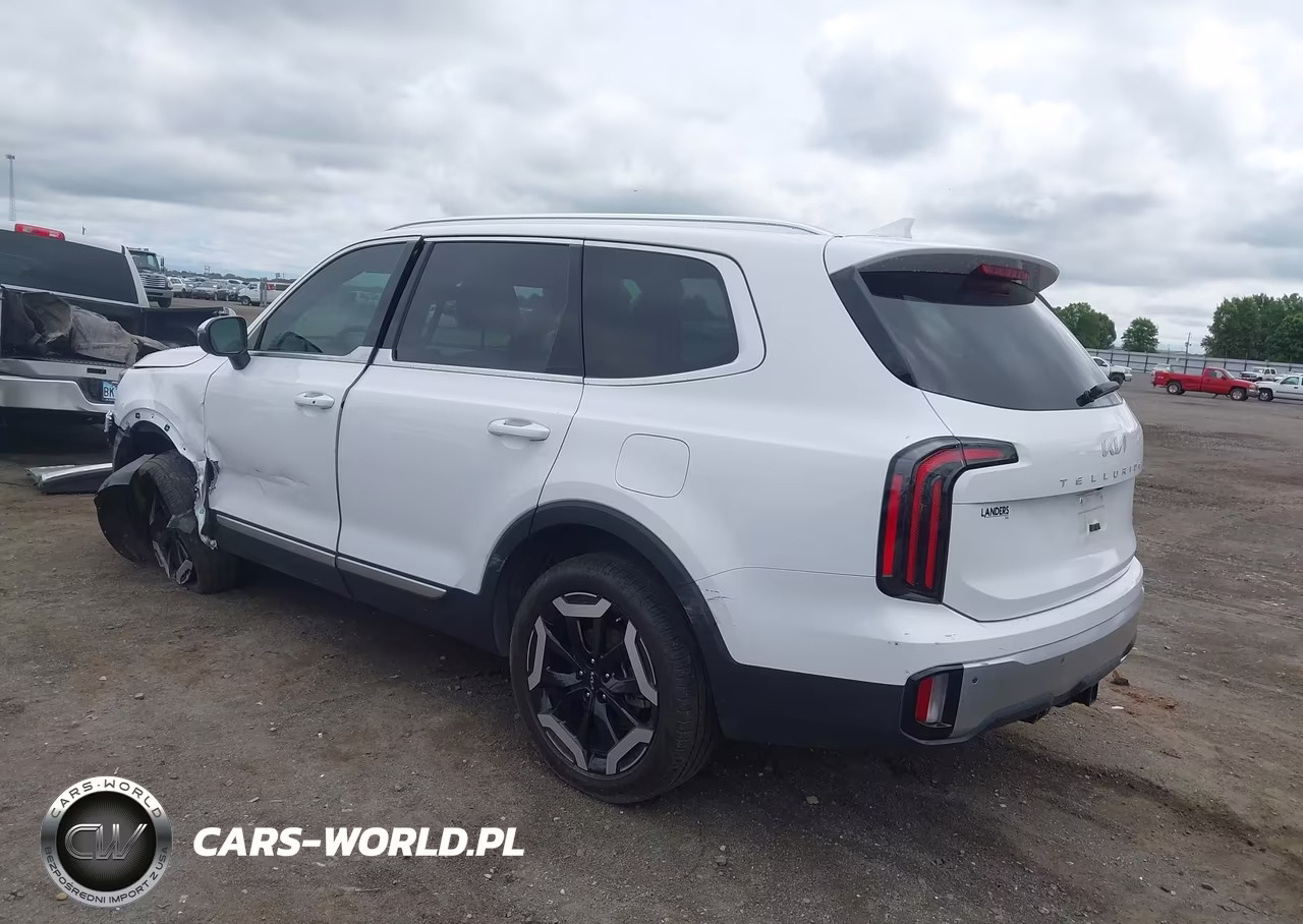 2024 Kia Telluride Ex VIN:5XYP3DGC8RG482141 - 3