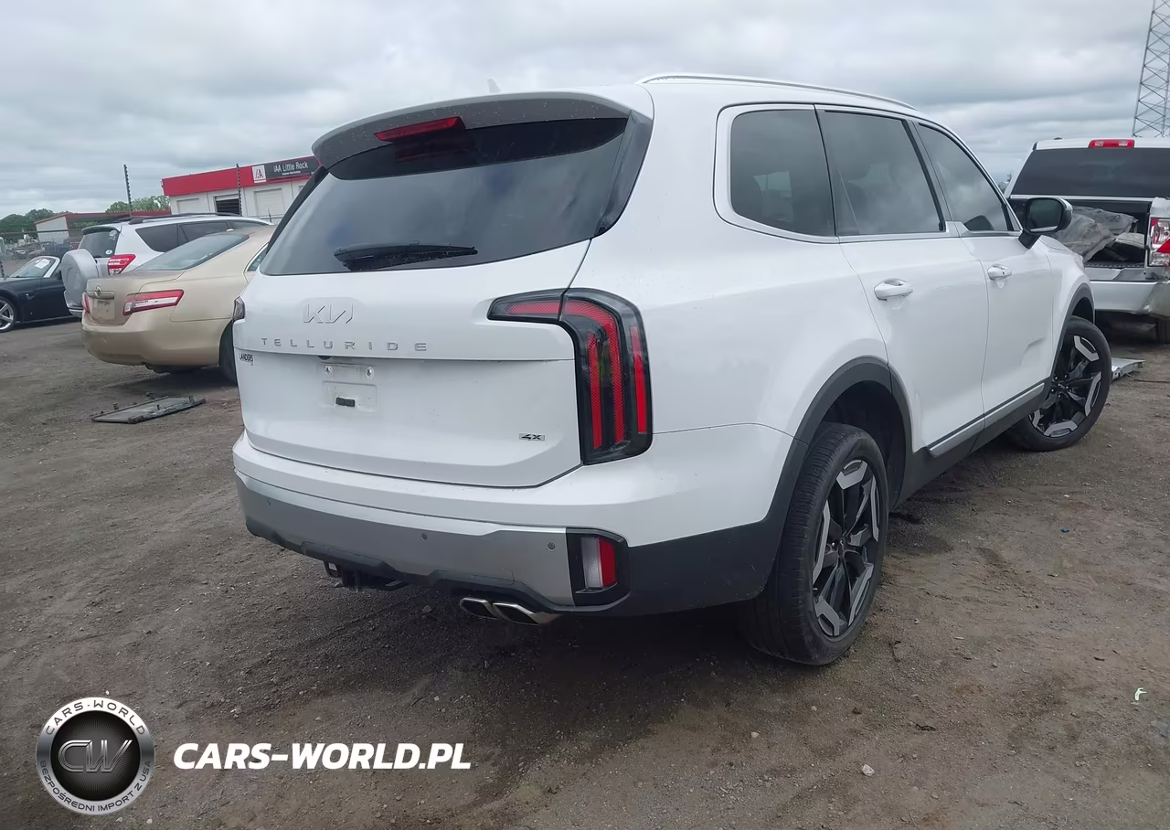 2024 Kia Telluride Ex VIN:5XYP3DGC8RG482141 - 4
