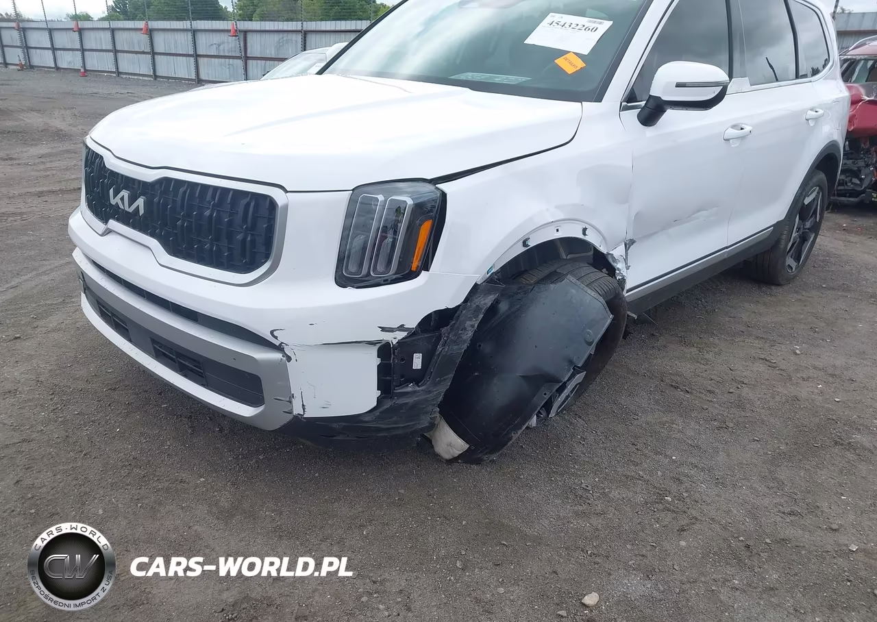 2024 Kia Telluride Ex VIN:5XYP3DGC8RG482141 - 6