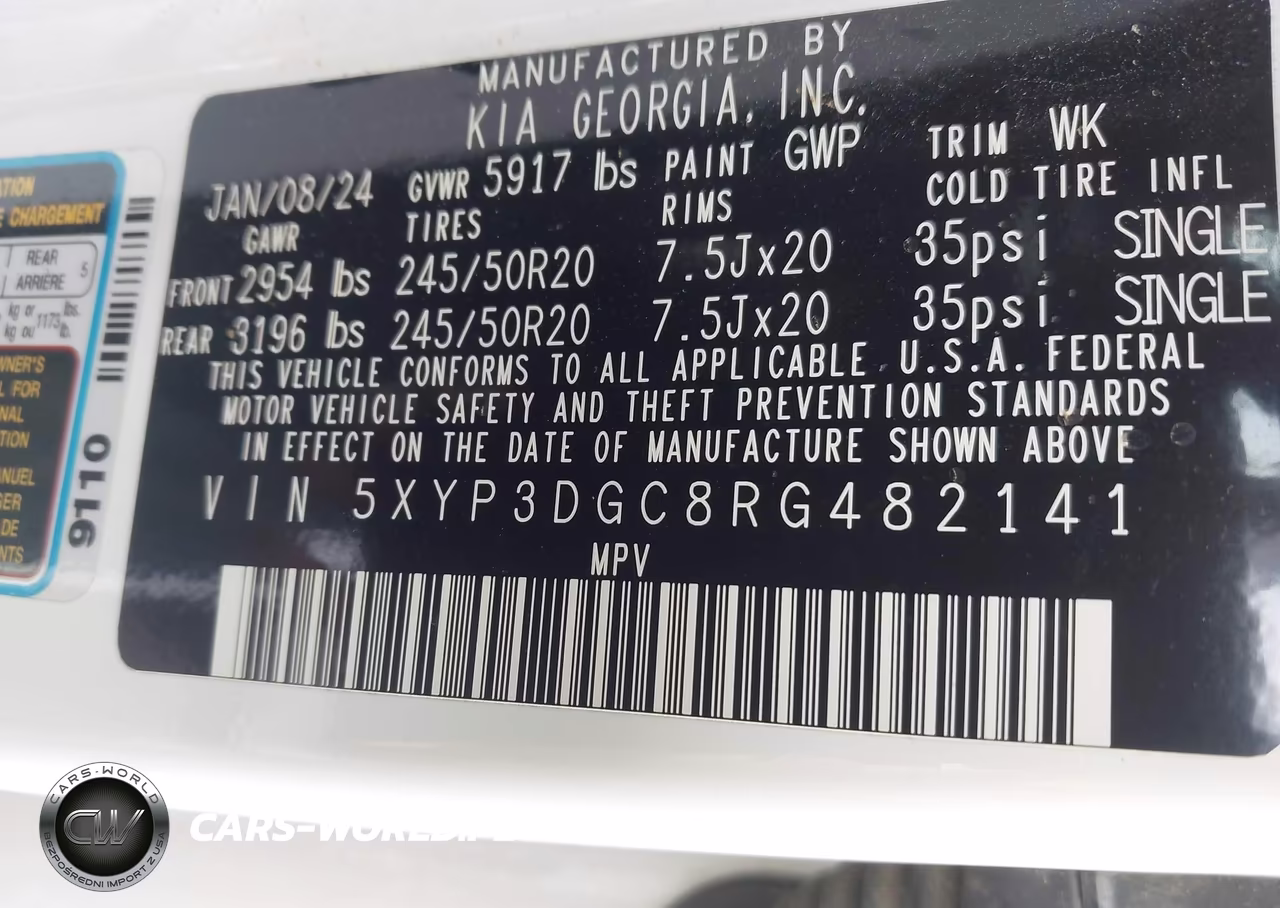 2024 Kia Telluride Ex VIN:5XYP3DGC8RG482141 - 9