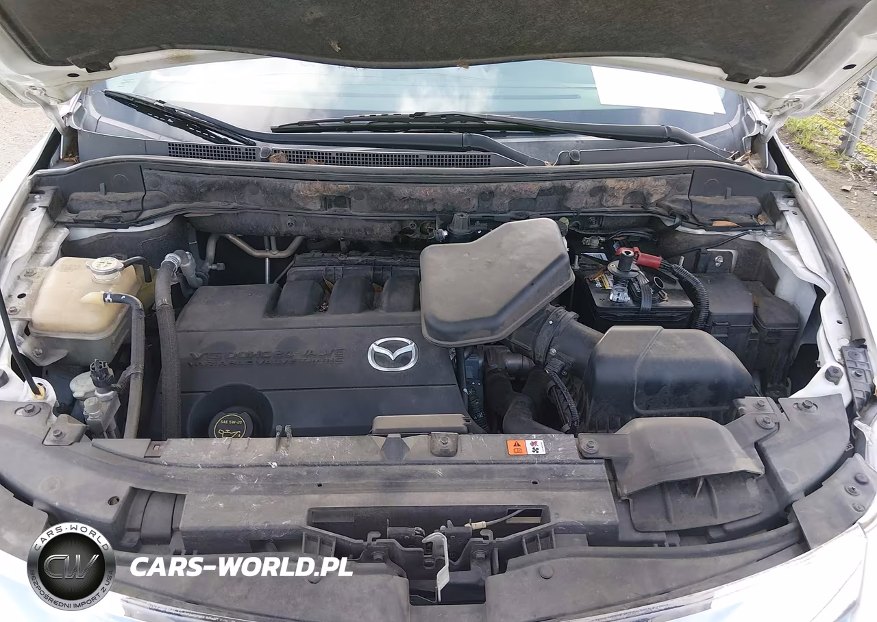 2010 Mazda Cx-9 Touring VIN:JM3TB2MAXA0220227 - 10