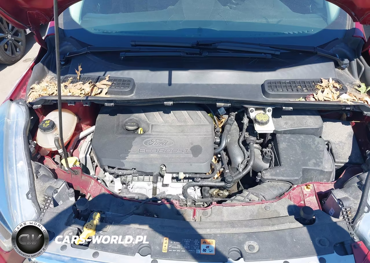 2017 Ford Escape Titanium VIN:1FMCU0JD2HUC64372 - 10