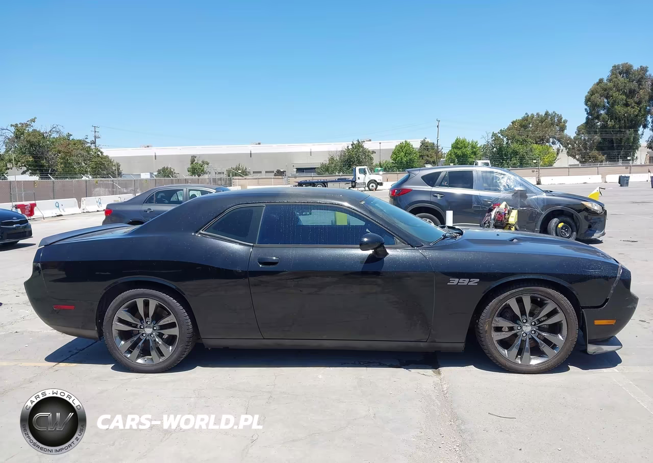 2014 Dodge Challenger Srt8 Core VIN:2C3CDYDJ5EH143438 - 13