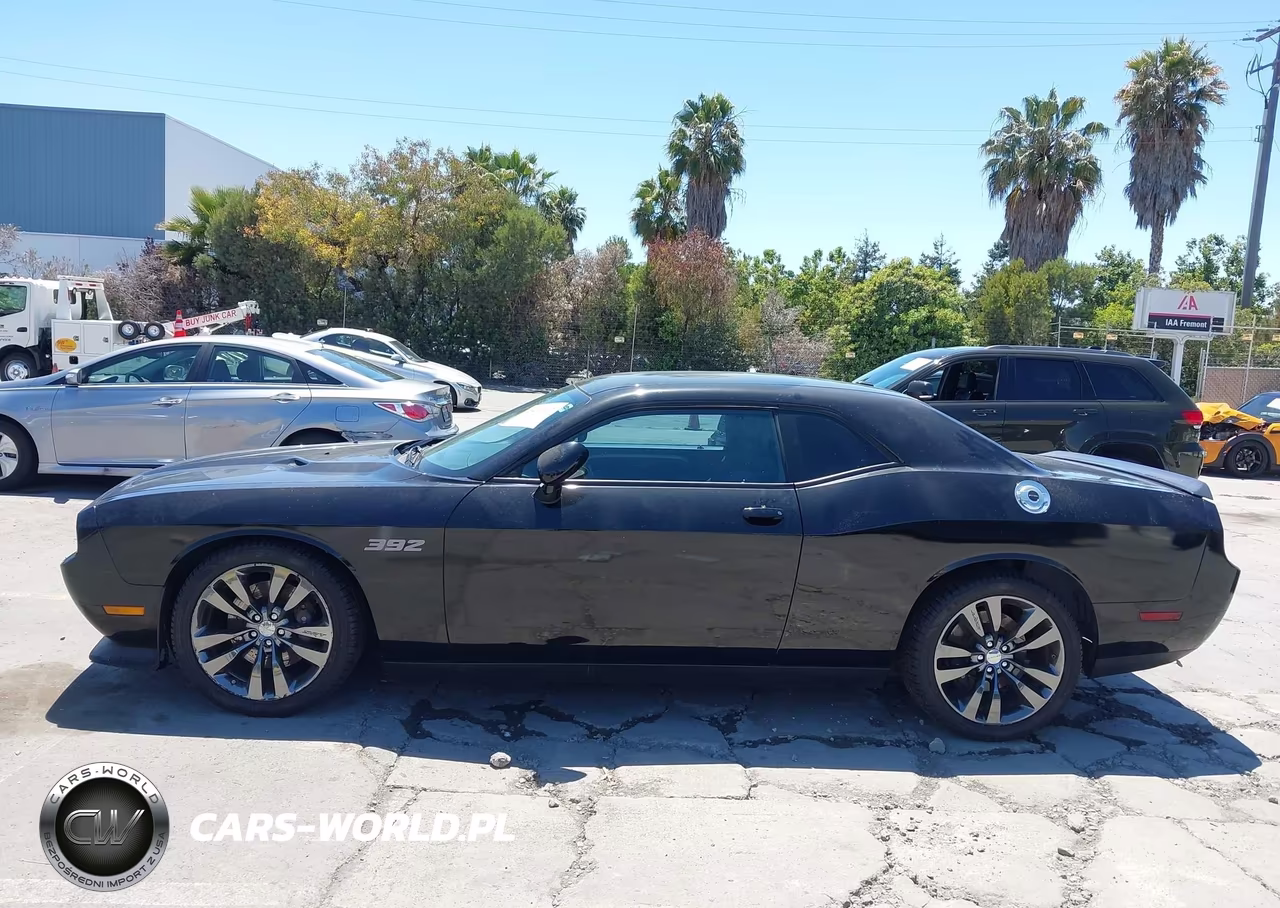 2014 Dodge Challenger Srt8 Core VIN:2C3CDYDJ5EH143438 - 14