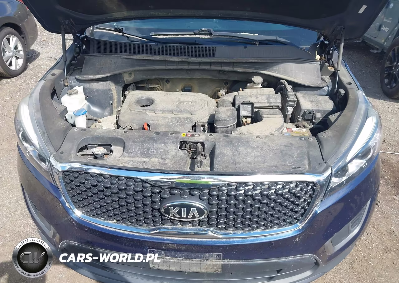 2016 Kia Sorento 2.4L Lx VIN:5XYPGDA37GG110235 - 10
