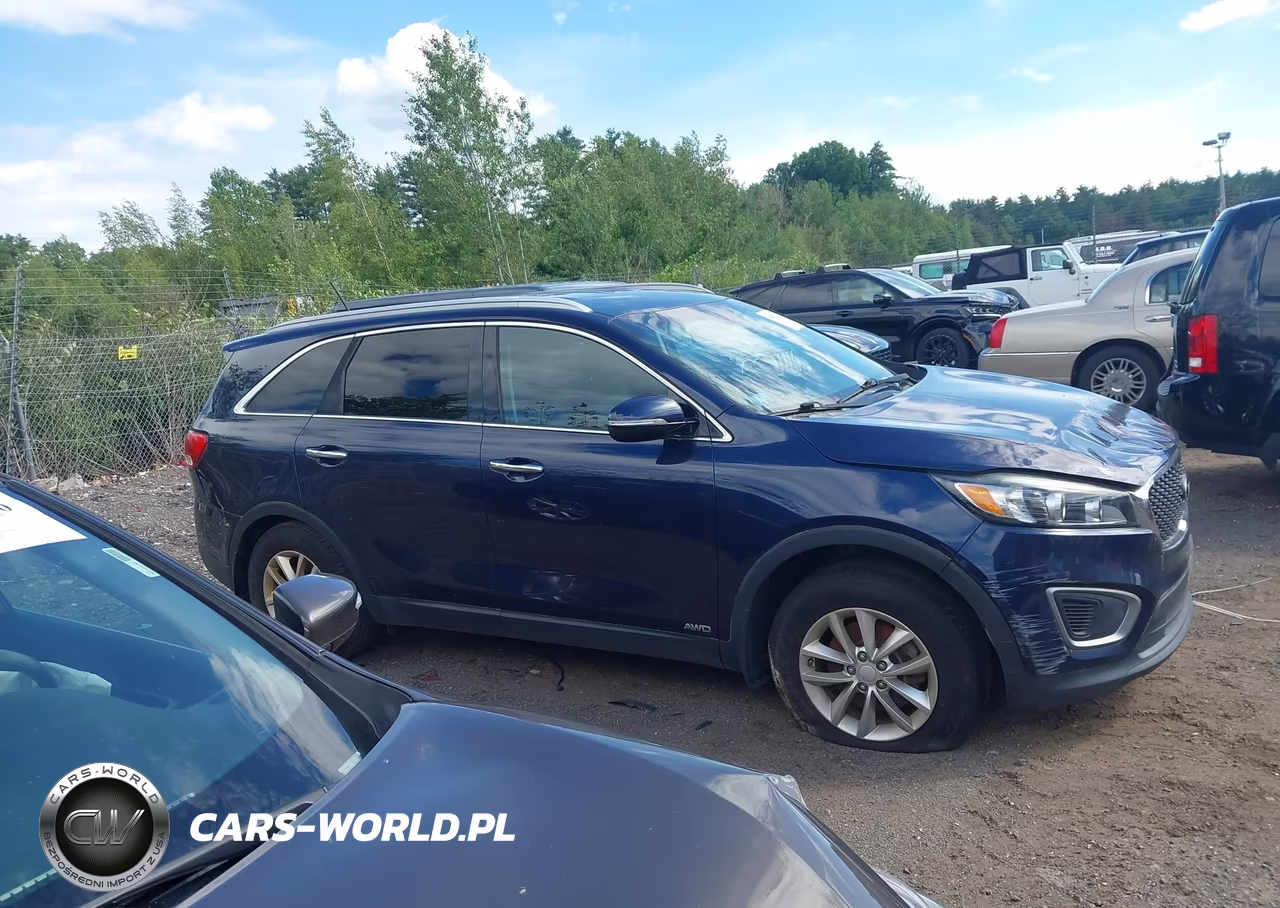 2016 Kia Sorento 2.4L Lx VIN:5XYPGDA37GG110235 - 13