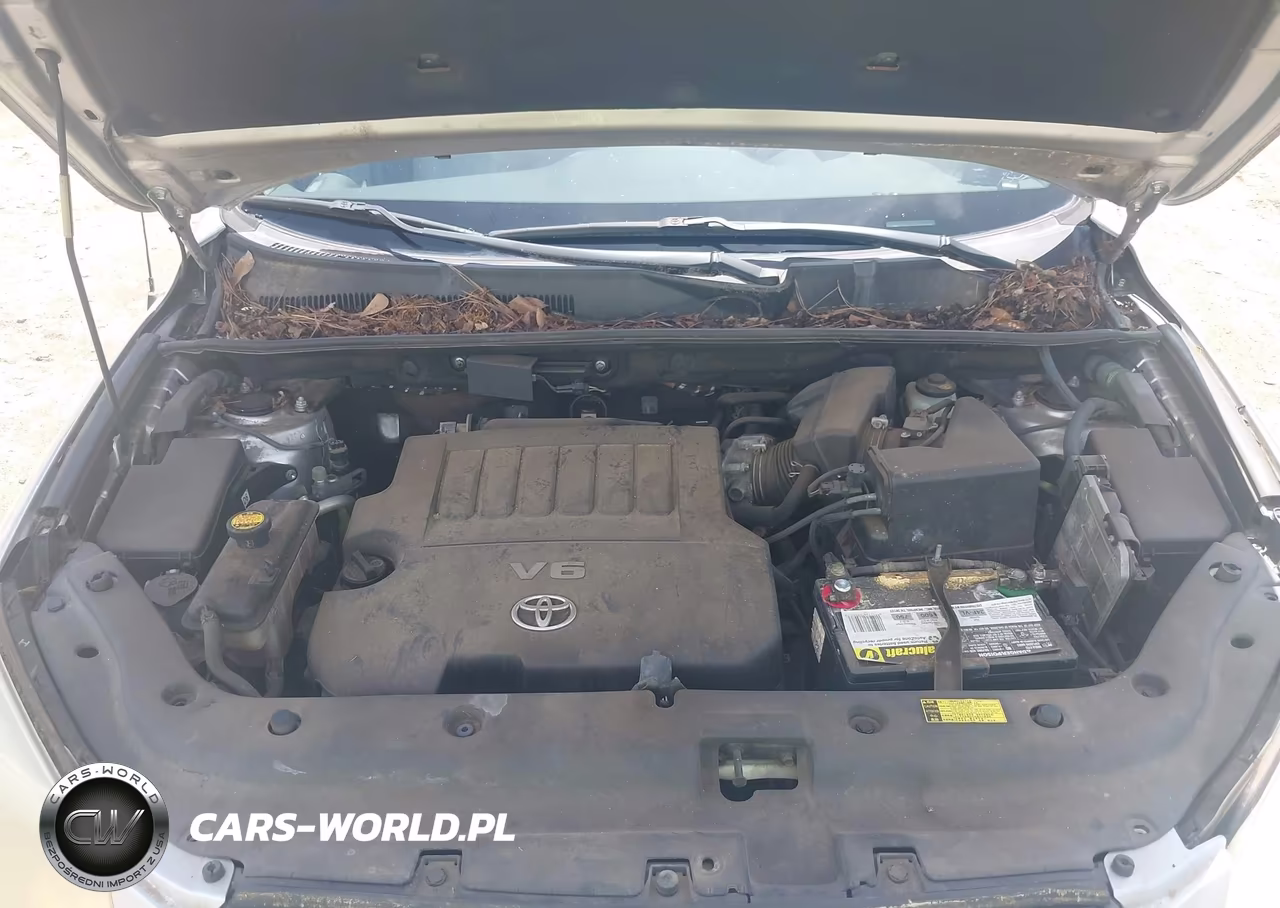 2007 Toyota Rav4 Limited VIN:JTMZK31V875006431 - 10