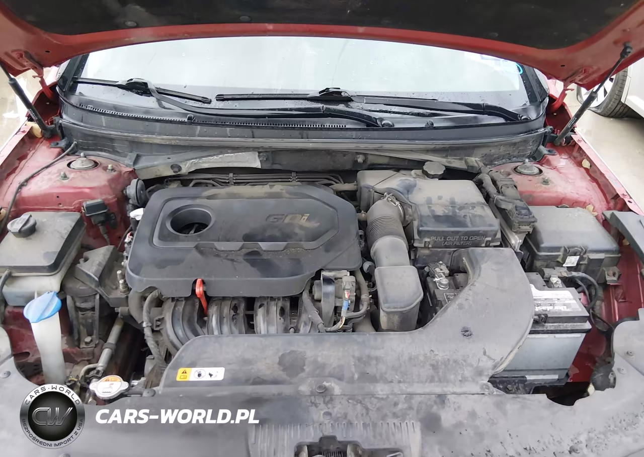 2017 Hyundai Sonata VIN:5NPE24AF6HH454231 - 10