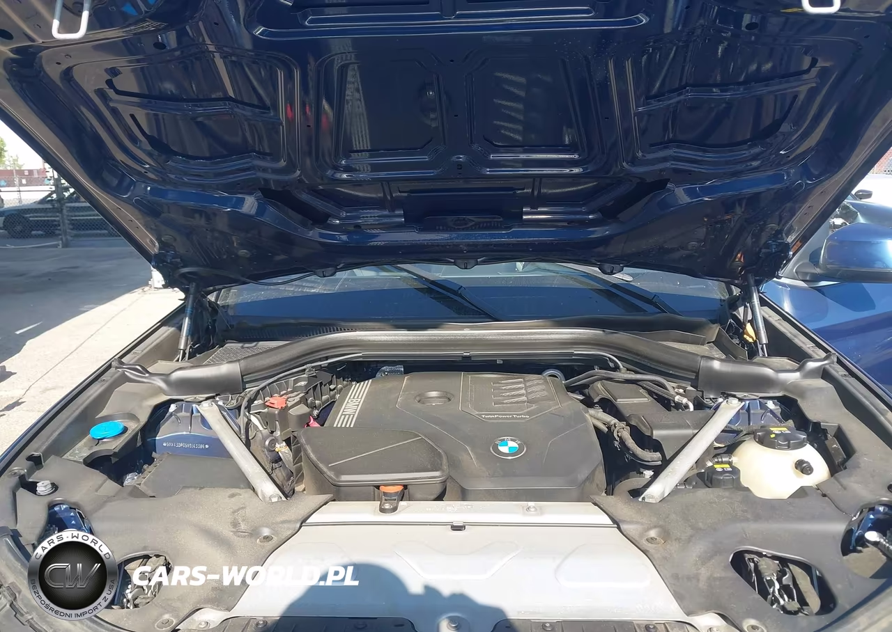 2022 BMW X3 Sdrive30I VIN:5UX43DP05N9J43386 - 10