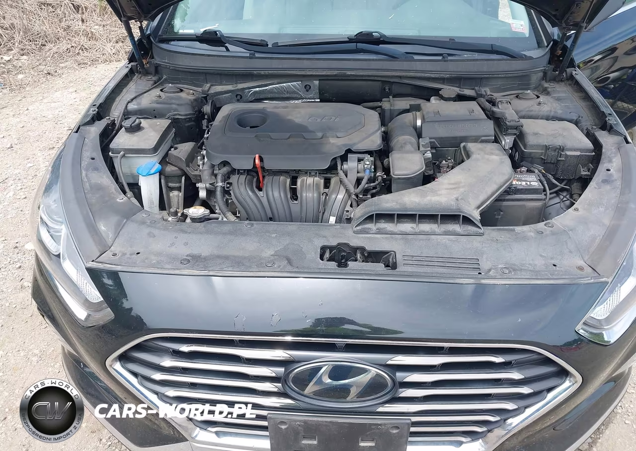2019 Hyundai Sonata Se VIN:5NPE24AF3KH812683 - 10