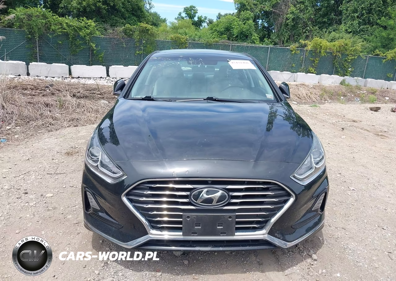 2019 Hyundai Sonata Se VIN:5NPE24AF3KH812683 - 12