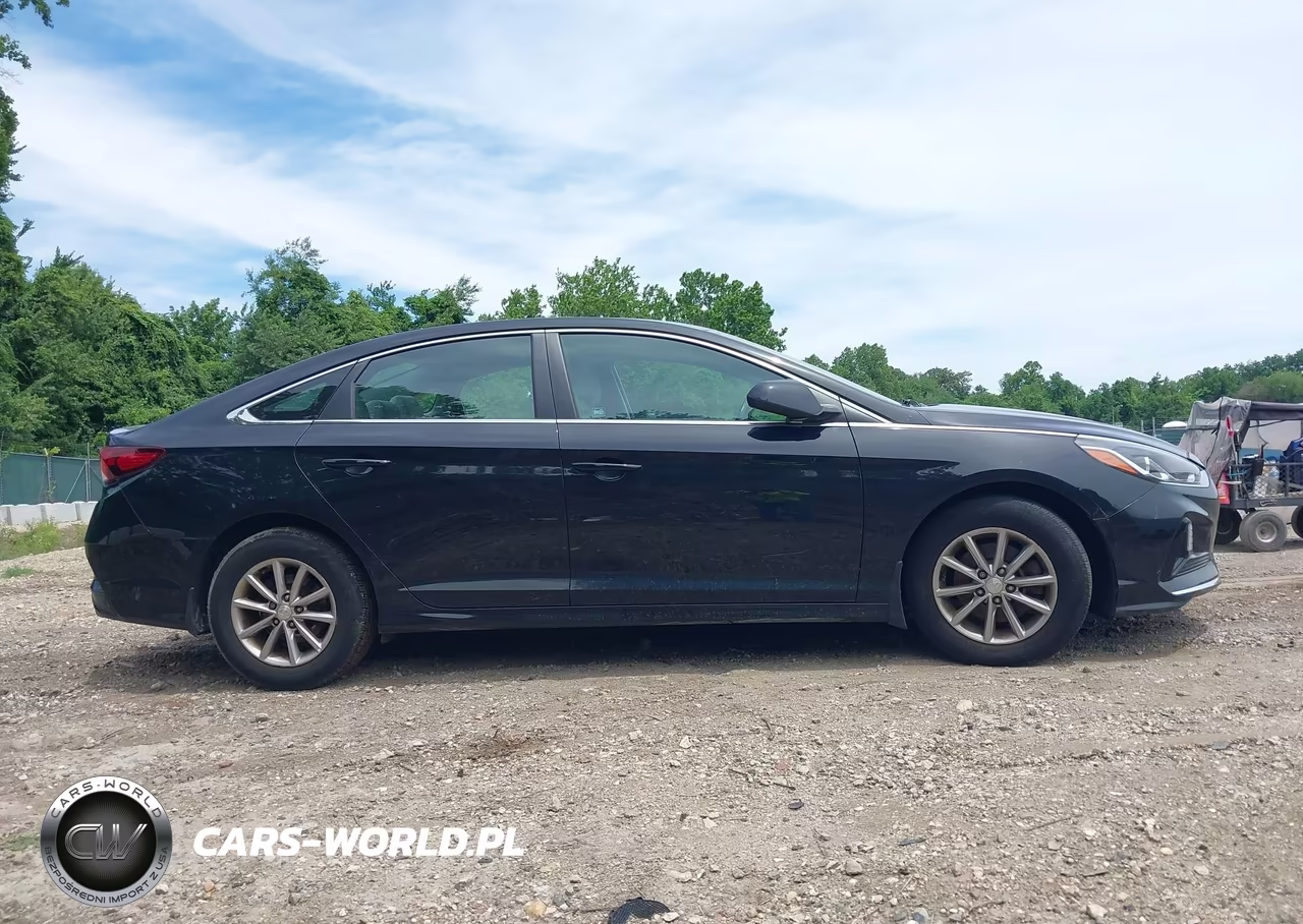 2019 Hyundai Sonata Se VIN:5NPE24AF3KH812683 - 13