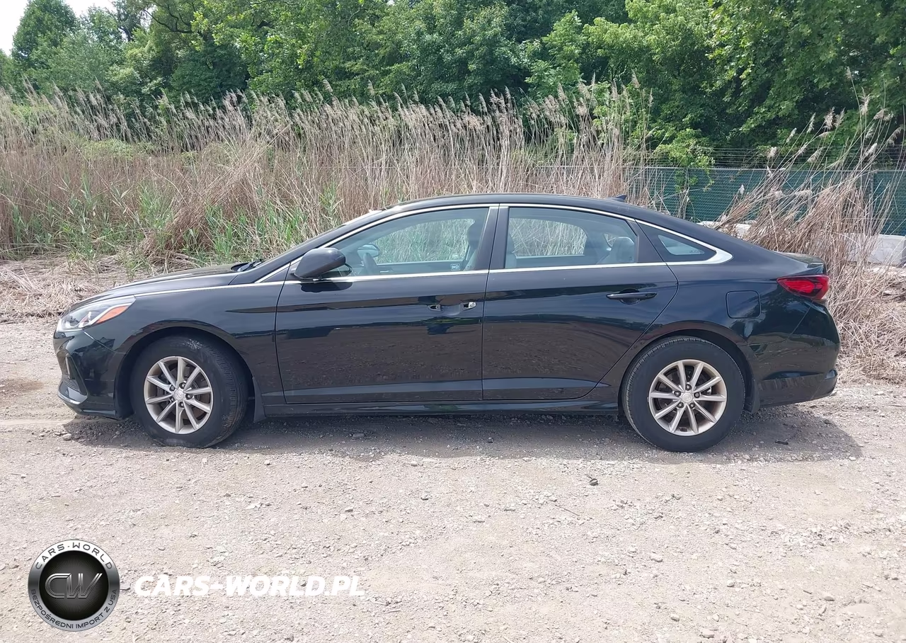 2019 Hyundai Sonata Se VIN:5NPE24AF3KH812683 - 14